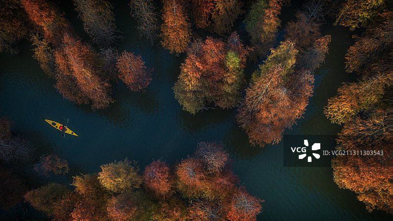 林中穿梭图片素材