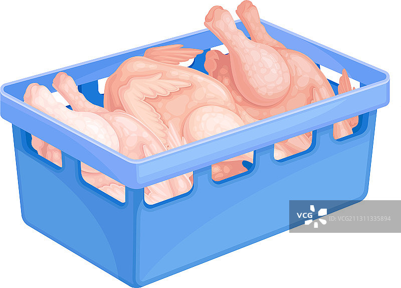 塑料篮中的未煮熟的光鸡图片素材