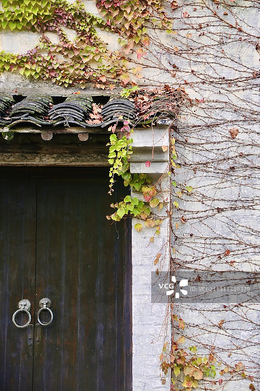 神秘庭院图片素材