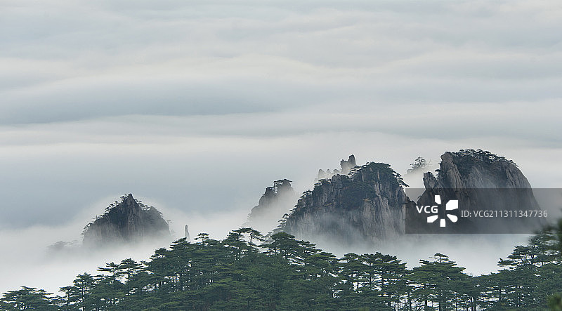 晨雾白鹅岭图片素材