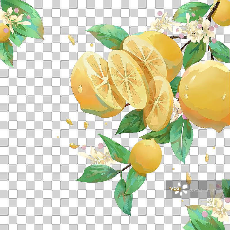 水果柠檬图片素材