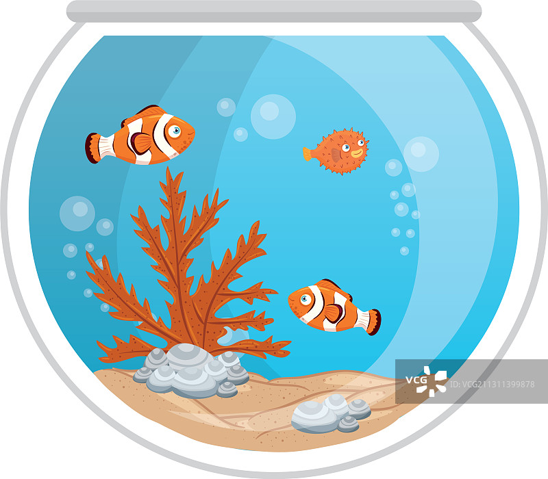水族箱中的小丑鱼和河豚图片素材