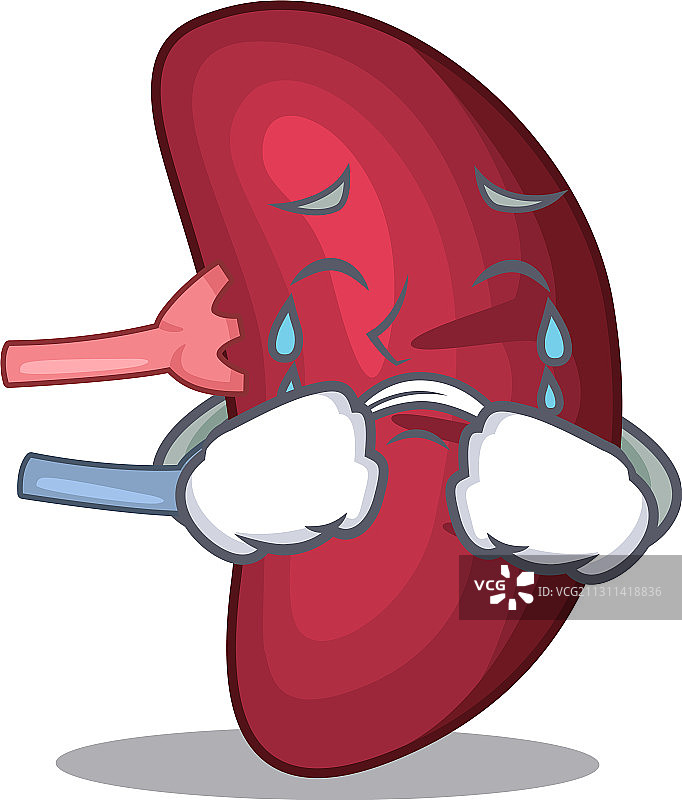 卡通人物设计人类脾脏图片素材