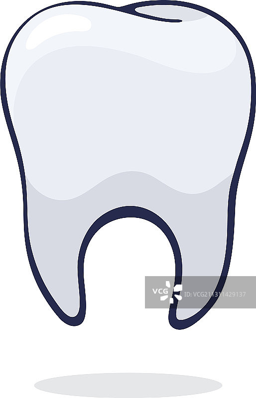 干净健康的人类牙齿图片素材