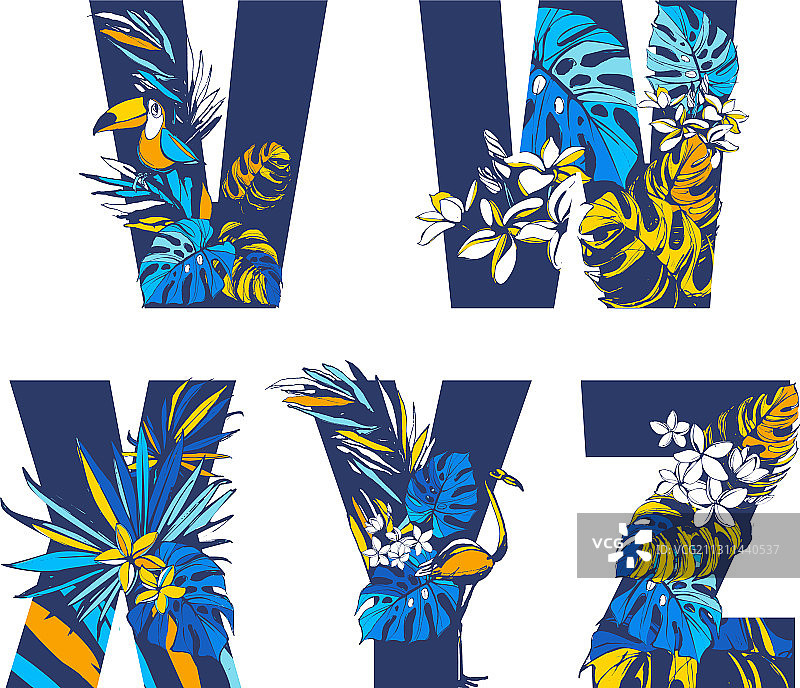 装饰集热带图案字母字母表图片素材