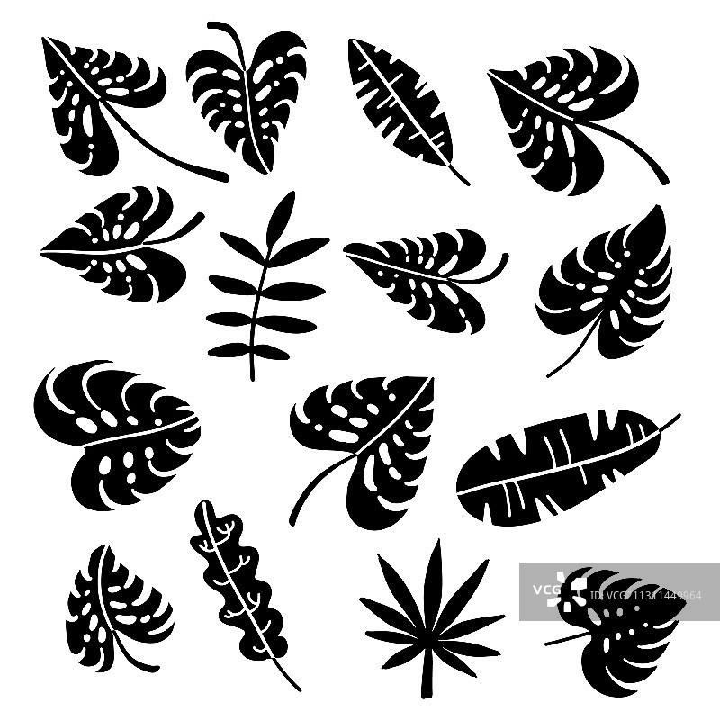 白色背景上的棕榈叶轮廓剪影套件图片素材