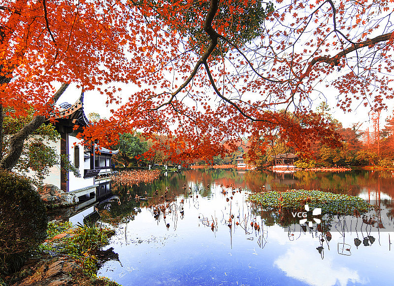 曲院风荷亭图片素材