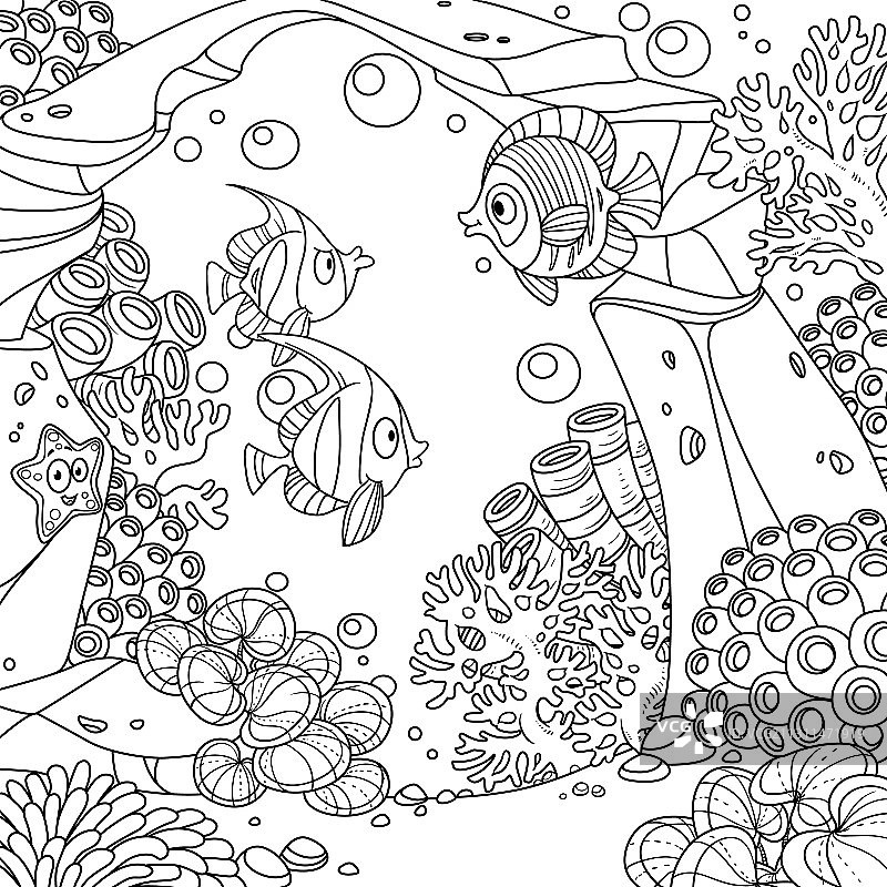 拱形石头珊瑚鱼水下世界图片素材