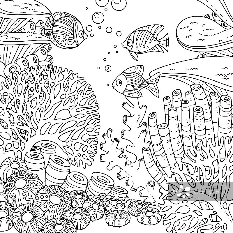 珊瑚鱼类水下世界轮廓图片素材