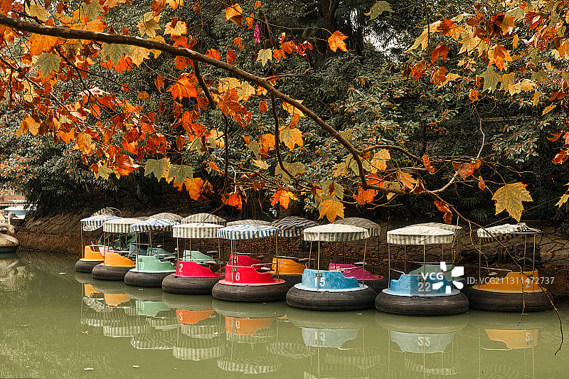 秋日公园图片素材