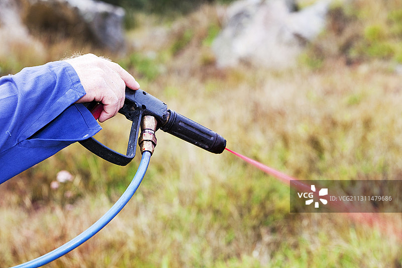 国家公园工作人员在澳大利亚雪山喷洒除草剂，清除与当地植物竞争的外来植物图片素材