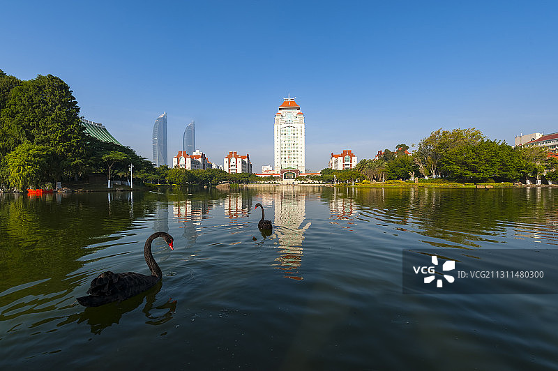 厦门大学芙蓉湖图片素材