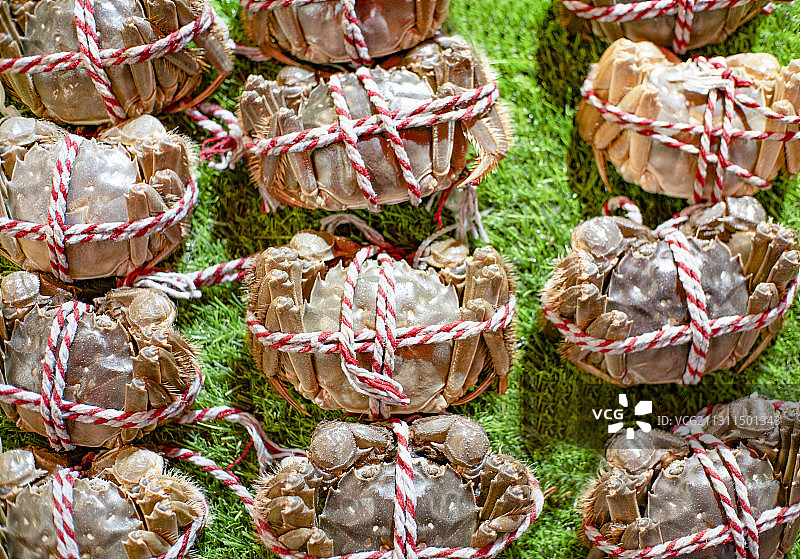 待售大闸蟹图片素材