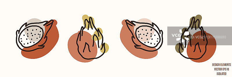 中性风火龙果图片素材