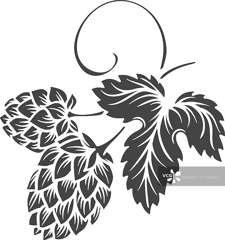 啤酒花字形啤酒酿造原料设计图片素材