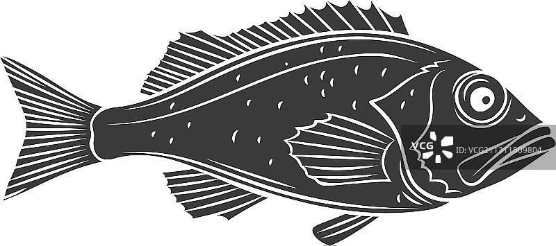 海鲈鱼轮廓图标图片素材