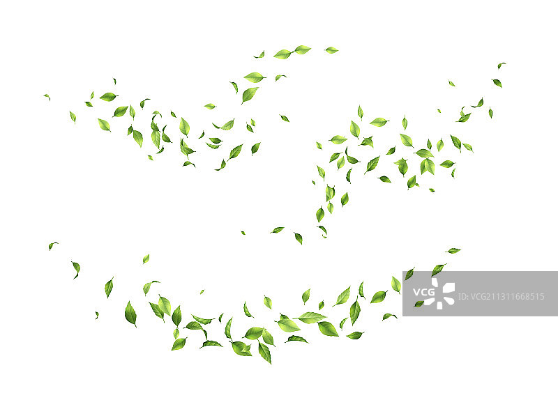 飞舞的绿叶图片素材