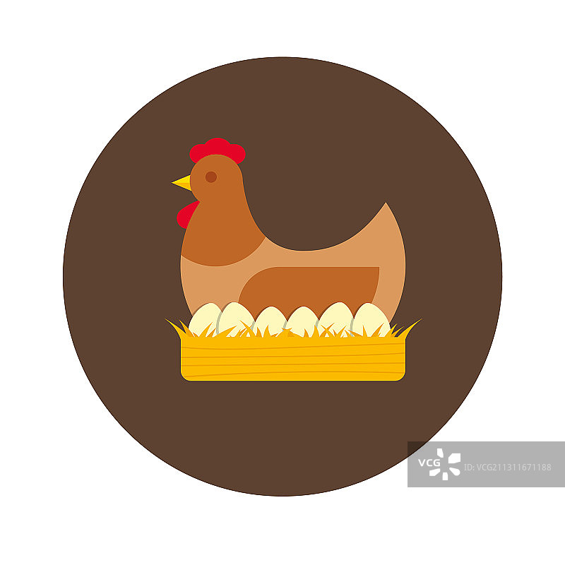 家禽养殖场里在窝里孵蛋的母鸡图片素材