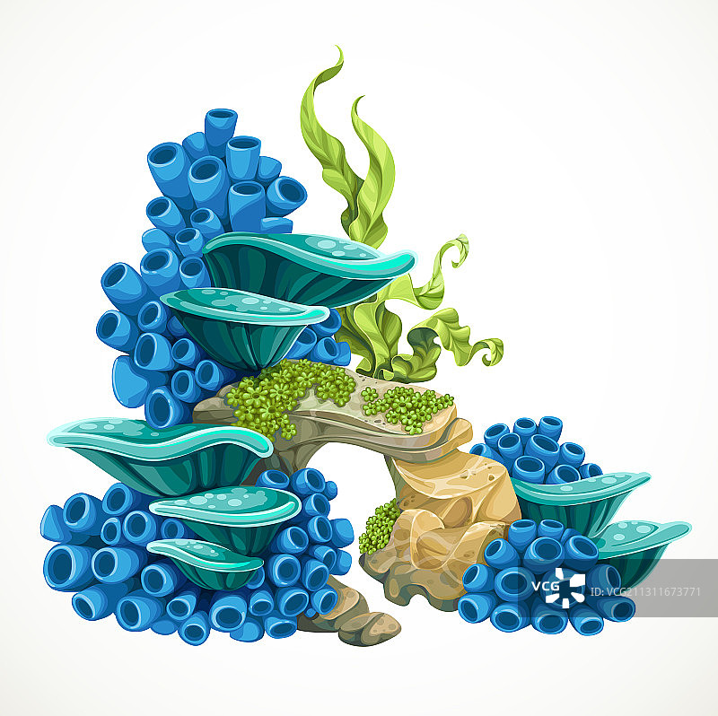 海绵和海葵石头图片素材