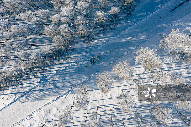 穿越林海雪原图片素材