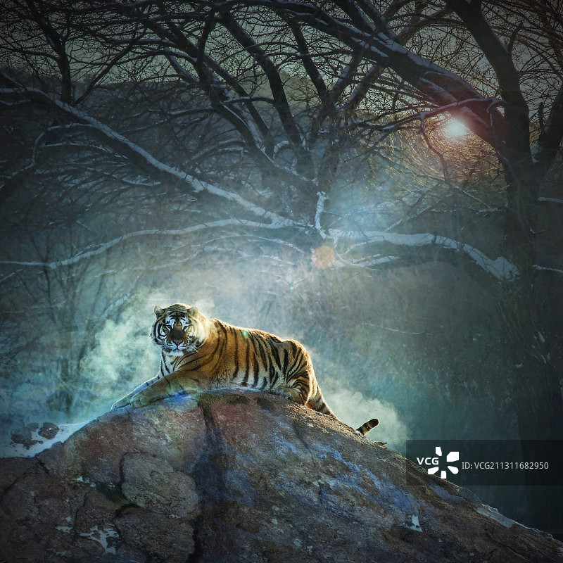 威震山林图片素材