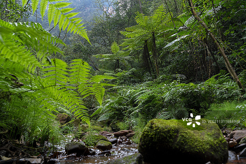 贵州遵义赤水丹霞佛光岩图片素材