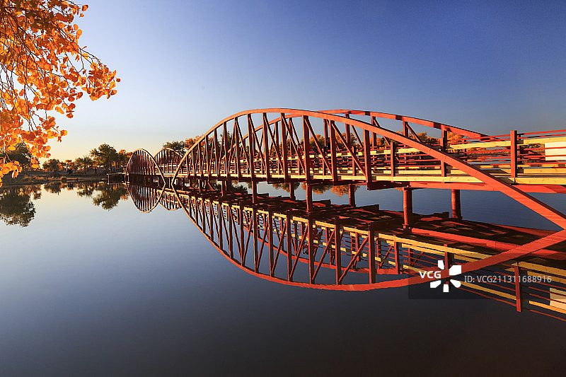 额济纳弱水金沙胡杨林爱情桥图片素材