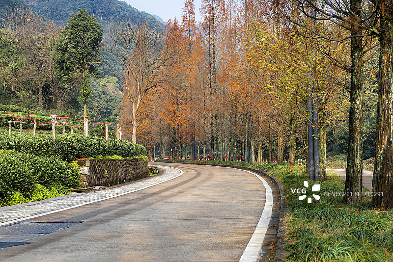 乡村道路图片素材
