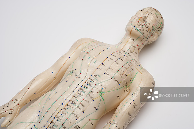 人体模型 经络图片素材