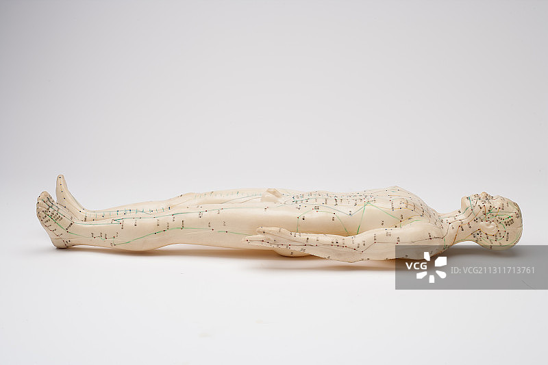 人体模型 经络 中医图片素材