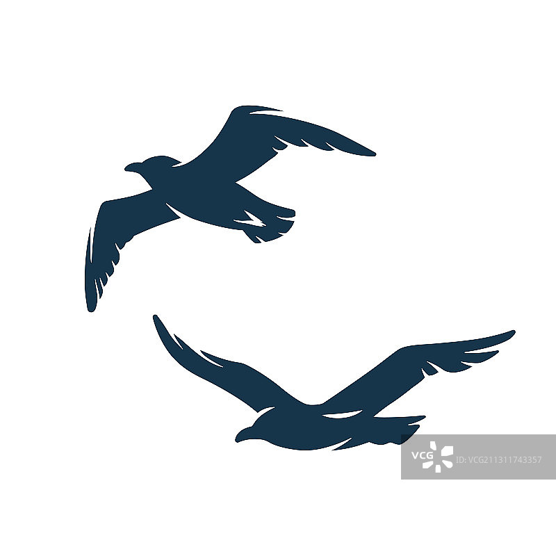 航海海洋设计中的天空海鸥图片素材