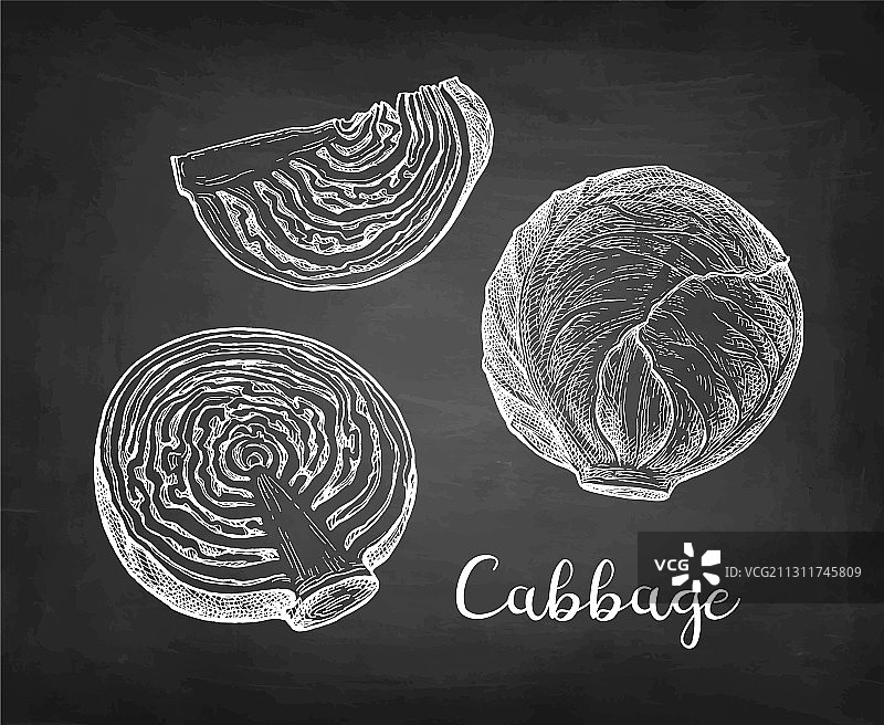 粉笔画卷心菜图片素材