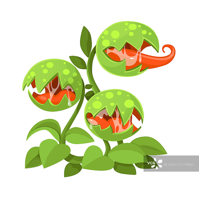 巨型捕蝇草图片素材