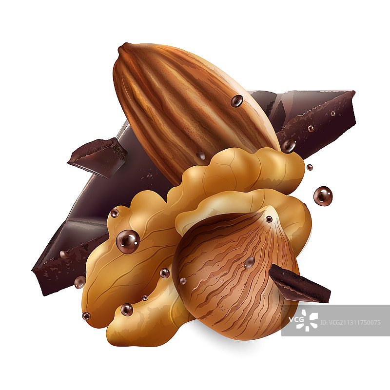 带巧克力的榛子、杏仁和核桃图片素材