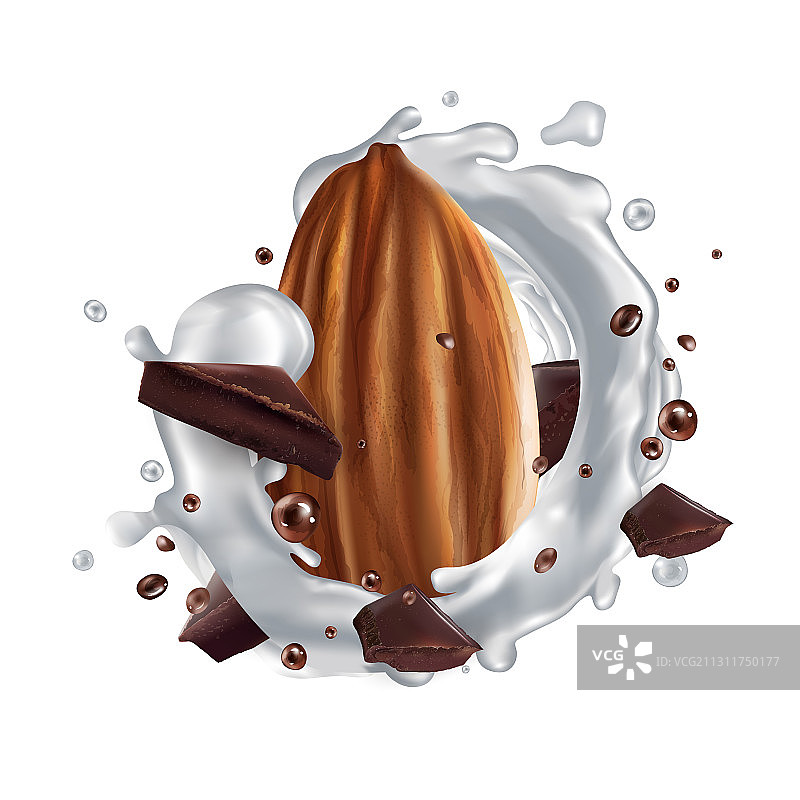 杏仁巧克力块与牛奶飞溅图片素材