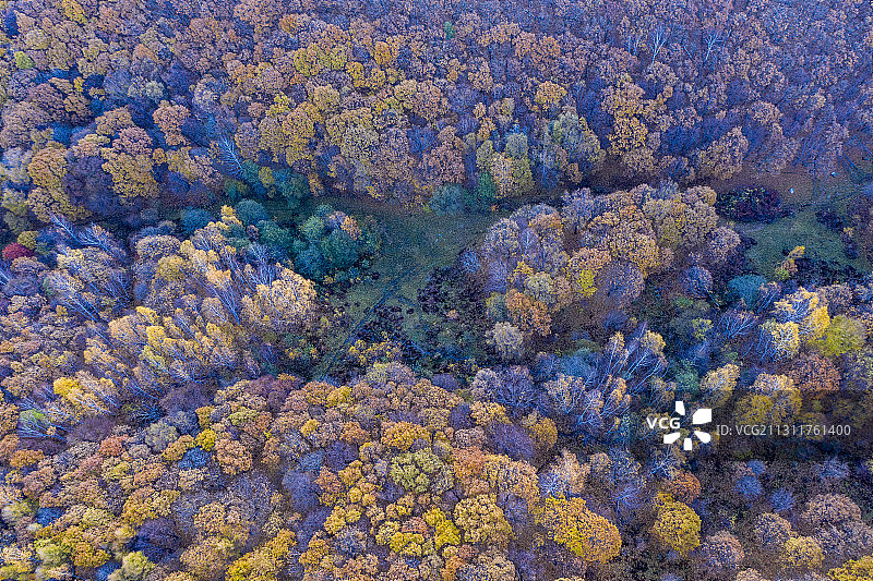 黑龙江鸡西：国家地质公园蜂蜜山秋林晨光图片素材