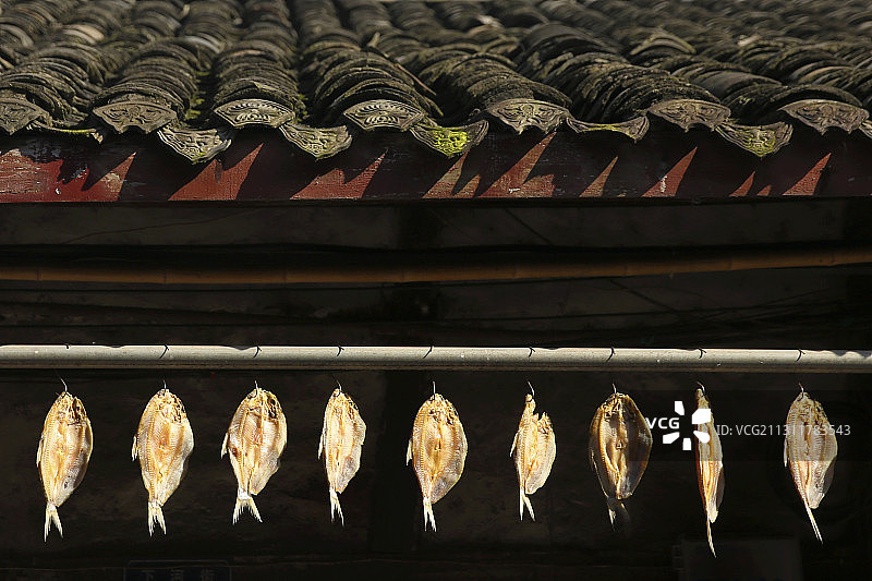 四川南充蓬安县周子古镇晾晒咸鱼图片素材