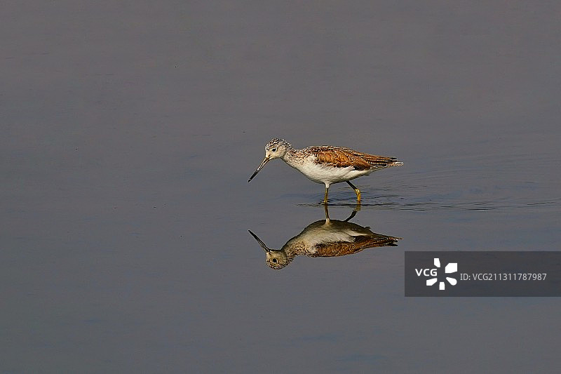《你是谁》似熟非熟，到底你是谁？图片素材