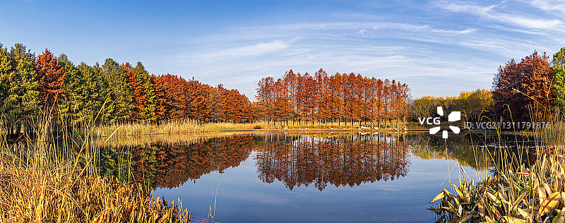 苏州虎丘湿地公园的秋色图片素材