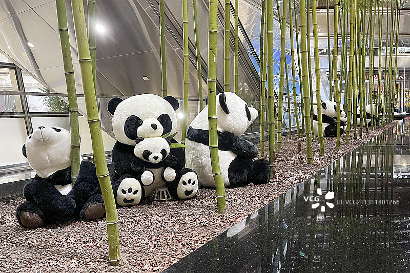 北京高档写字楼中庭空间中国元素熊猫竹林装饰布景图片素材