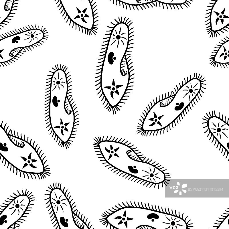 尾草履虫带纤毛纹理图片素材