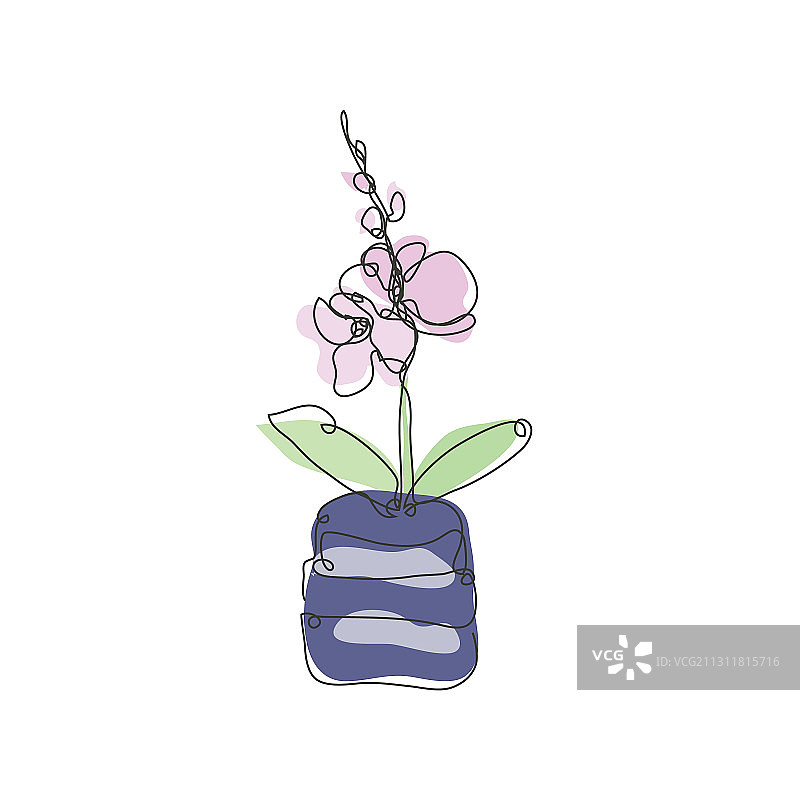 手绘兰花装饰设计图片素材