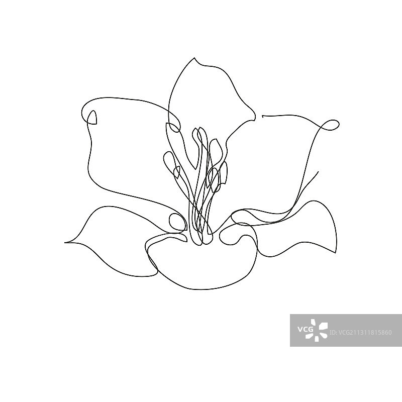 手绘百合花装饰设计元素图片素材
