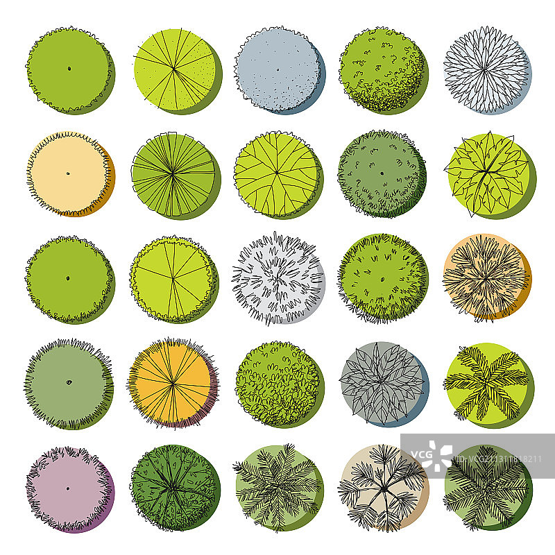 手绘树木顶视图图片素材