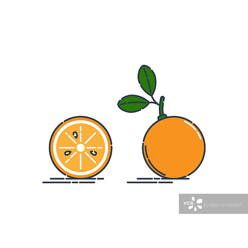 完整和切半的橘子或柑橘图片素材