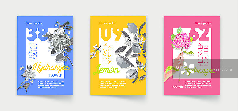 柠檬绣球花海报合集图片素材