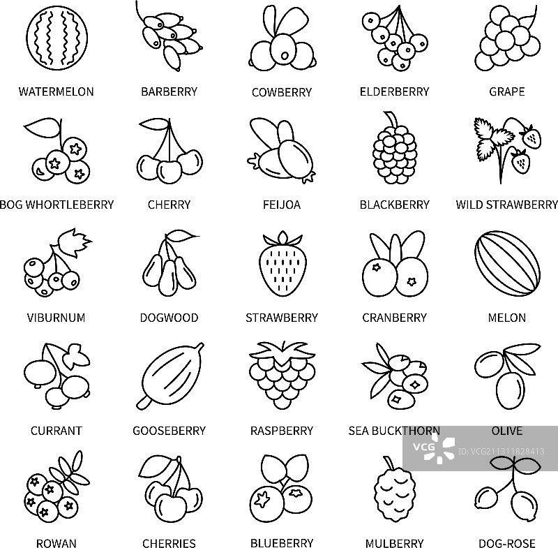 浆果线性图标合集图片素材