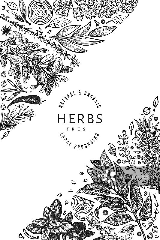 手绘复古风烹饪香草banner模板图片素材