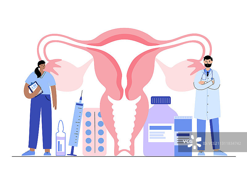 生殖系统概念图片素材