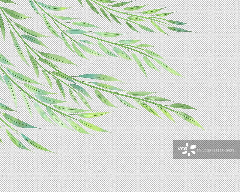 随风飘动的柳枝图片素材